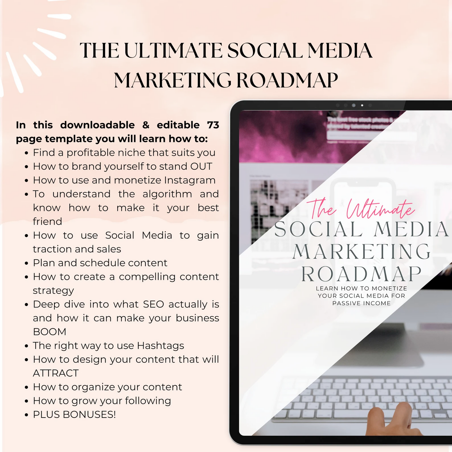 Roadmap To Riches 2.0 Course Master Resell Rights Digital Marketing Business Development Digital Marketing Blueprints Course PLR Course