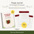 My Prayer Journal — 40 Guided Prompts for Deeper Prayer Focus