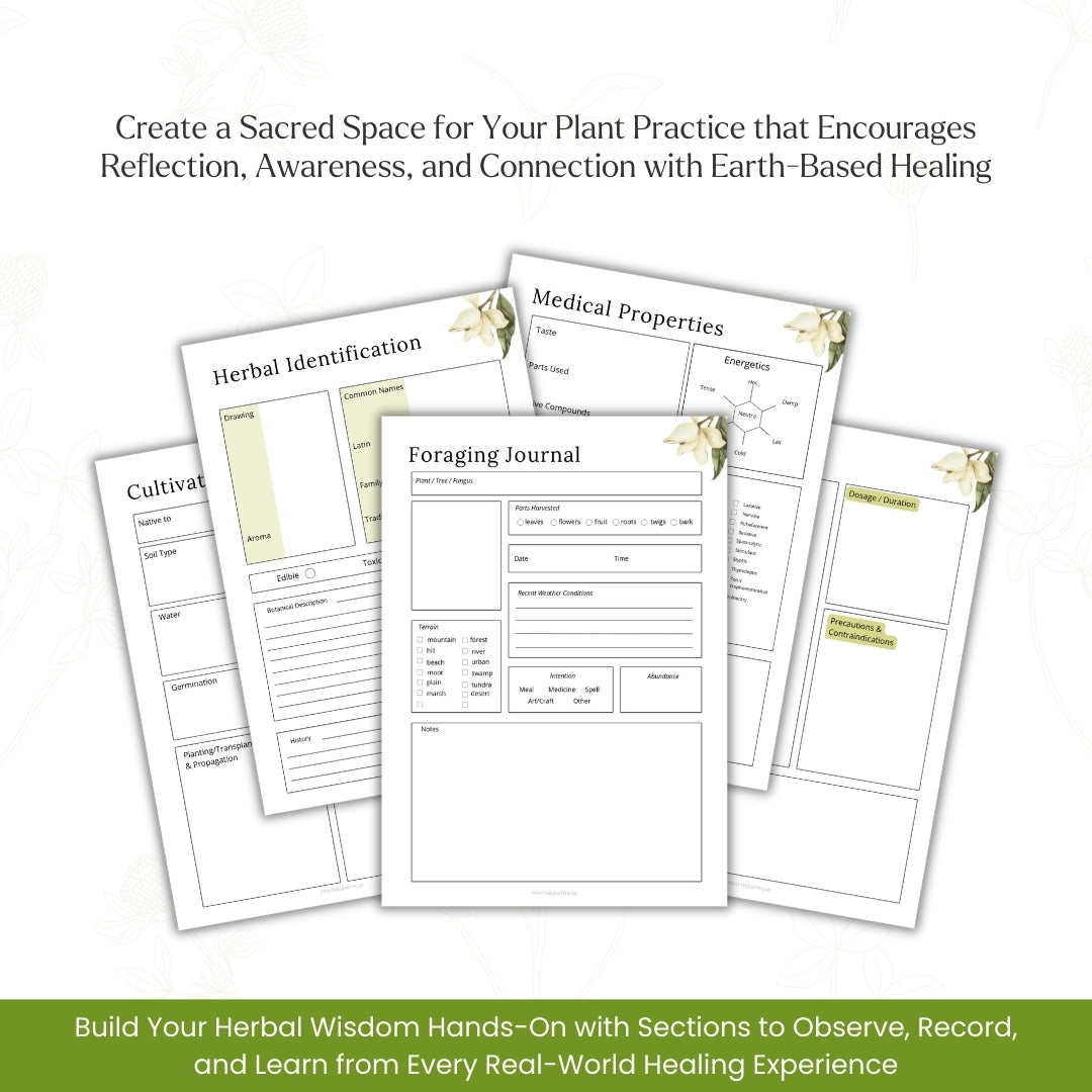 The Ultimate Herbal Medicine & Essential Oil Logbook – Track Aromatherapy, Remedies & Recipes