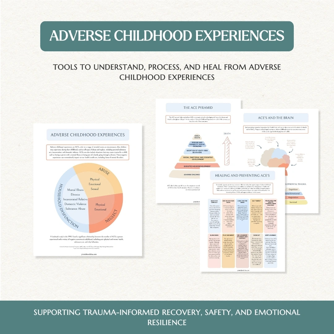 Trauma Recovery Workbook™ – Stabilize, Understand & Rebuild