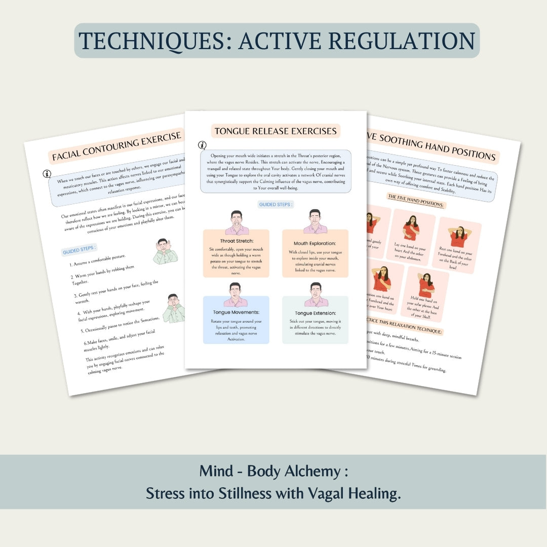 Nervous System Regulation Workbook, Somatic Exercise Polyvagal Theory Ladder Vagus Vagal Nerve Therapy Techniques Worksheets Co-regulation