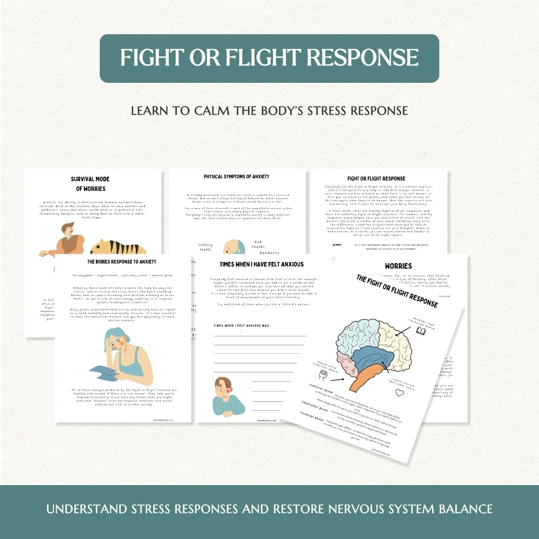Trauma Recovery Workbook™ – Stabilize, Understand & Rebuild