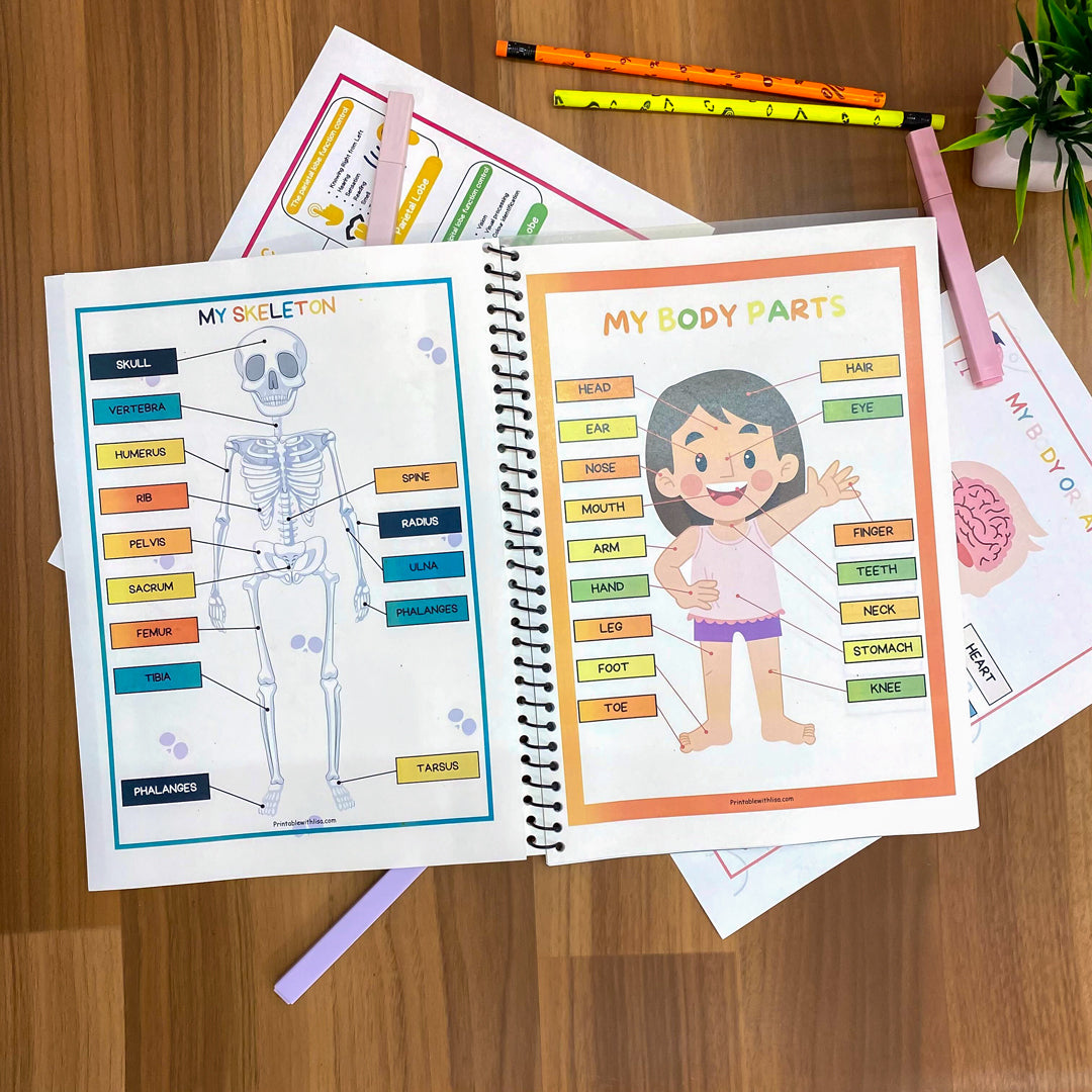 Human Anatomy Busy Book Printable Preschool Worksheets | Homeschool Resources | Anatomy Preschool Curriculum | Learning Toddler Activities