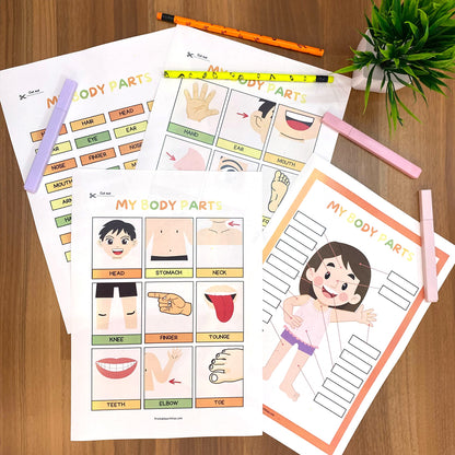 Human Anatomy Busy Book Printable Preschool Worksheets | Homeschool Resources | Anatomy Preschool Curriculum | Learning Toddler Activities