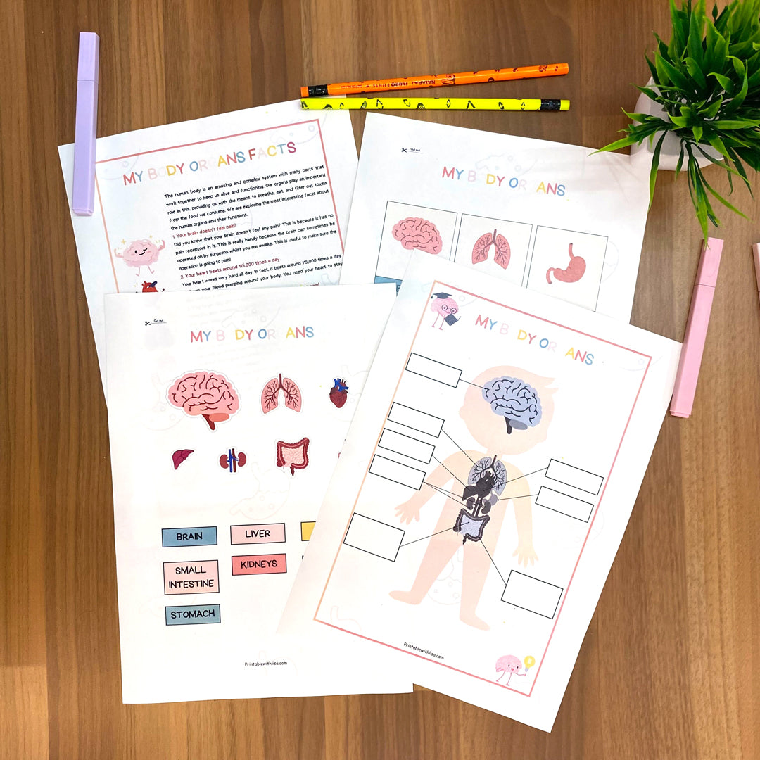 Human Anatomy Busy Book Printable Preschool Worksheets | Homeschool Resources | Anatomy Preschool Curriculum | Learning Toddler Activities