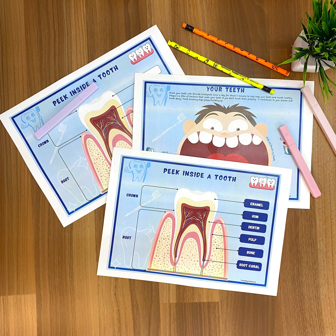 Human Anatomy Busy Book Printable Preschool Worksheets | Homeschool Resources | Anatomy Preschool Curriculum | Learning Toddler Activities