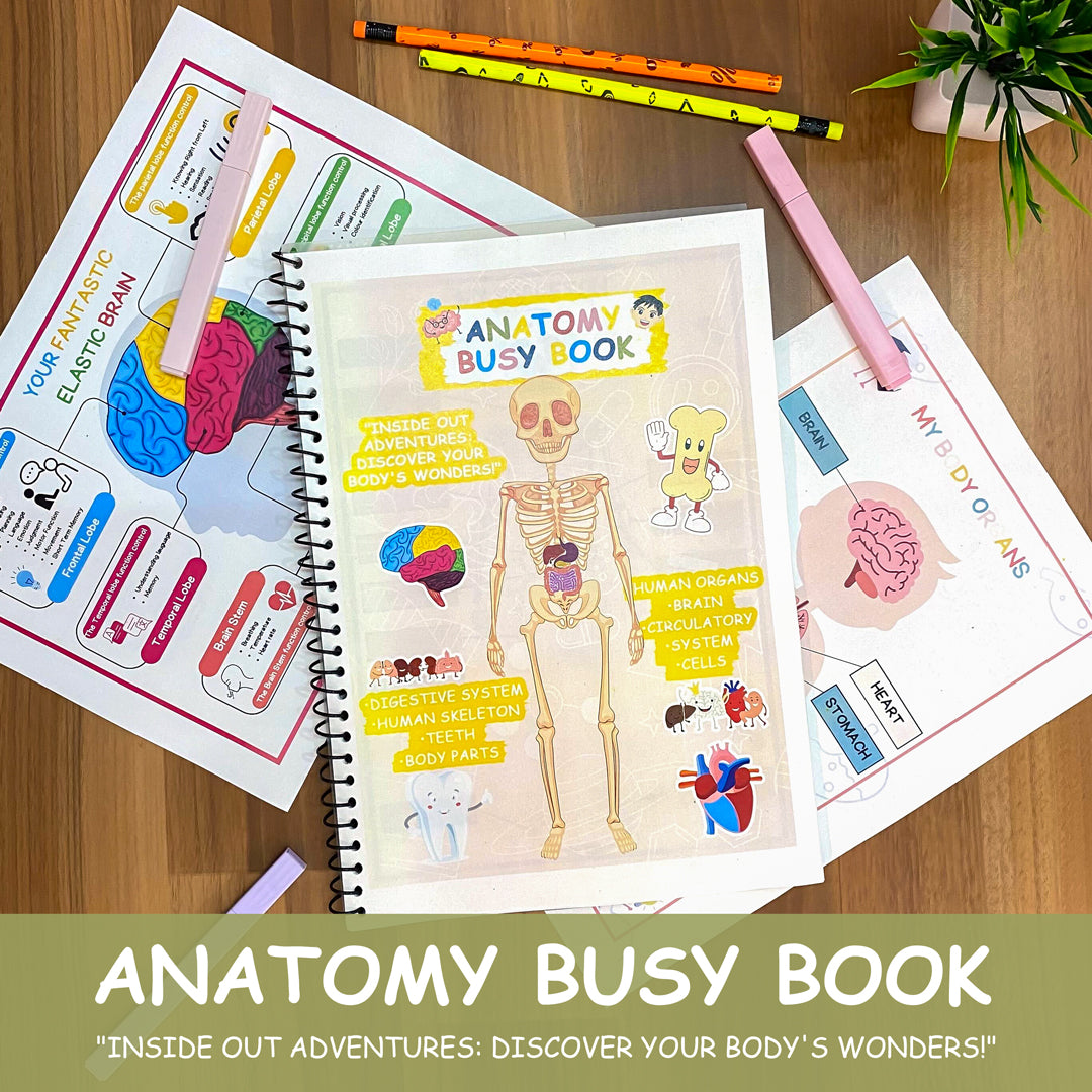 Human Anatomy Busy Book Printable Preschool Worksheets | Homeschool Resources | Anatomy Preschool Curriculum | Learning Toddler Activities