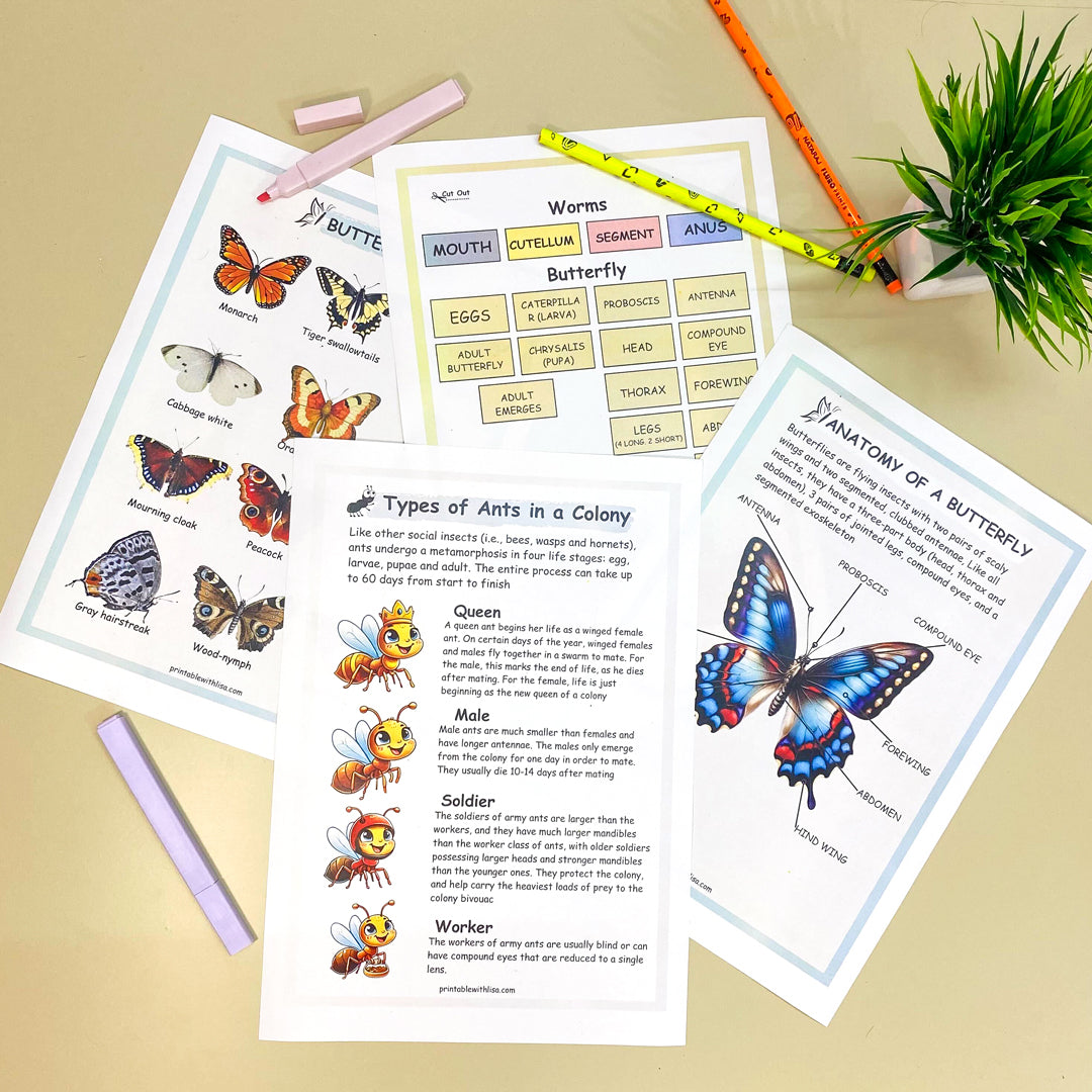 Printable Nature Journal | Homeschool Learning Materials | Charlotte Mason Nature Study | Preschool Curriculum | Toddler Busy Book Printable