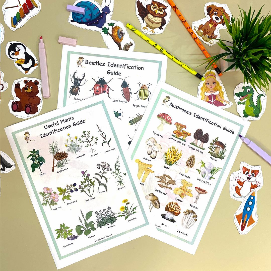 Printable Nature Journal | Homeschool Learning Materials | Charlotte Mason Nature Study | Preschool Curriculum | Toddler Busy Book Printable