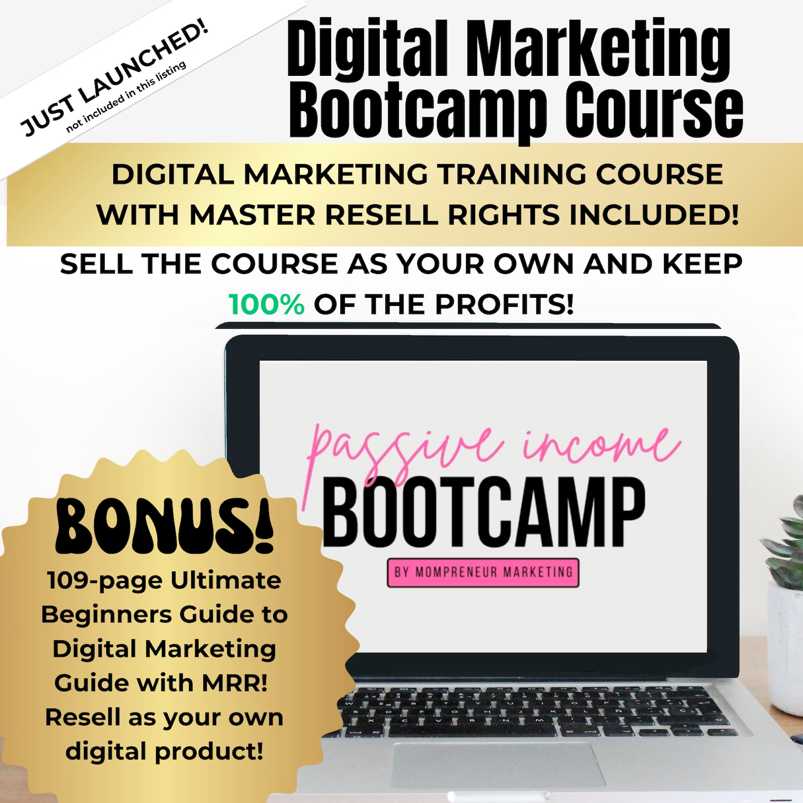 Done for you Digital Marketing Guide with Master Resell Rights MRR Done For You Marketing Guide Private Label Rights DFY Digital Product