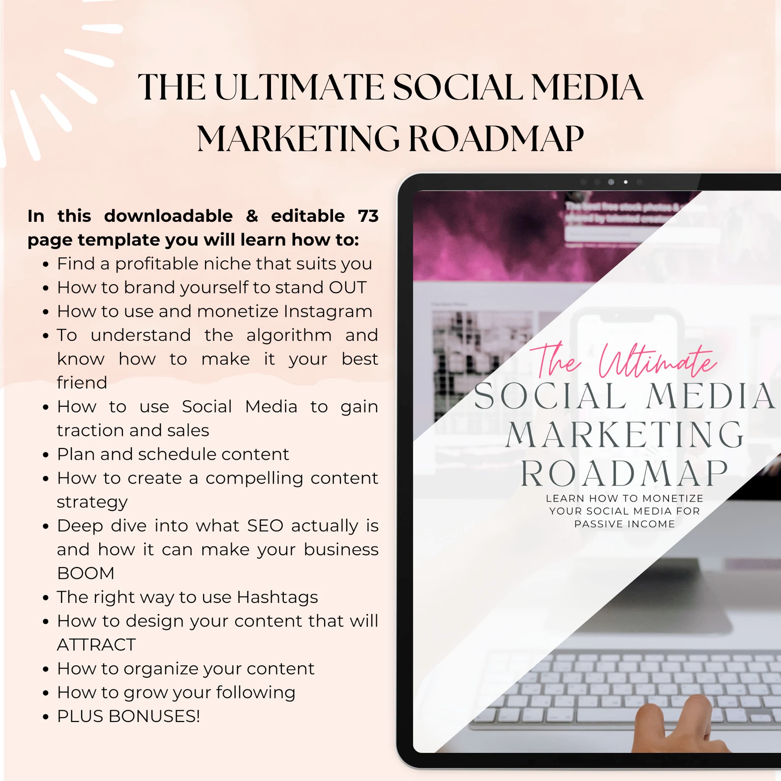 Roadmap To Riches 2.0 Course Master Resell Rights Digital Marketing Business Development Digital Marketing Blueprints Course PLR Course